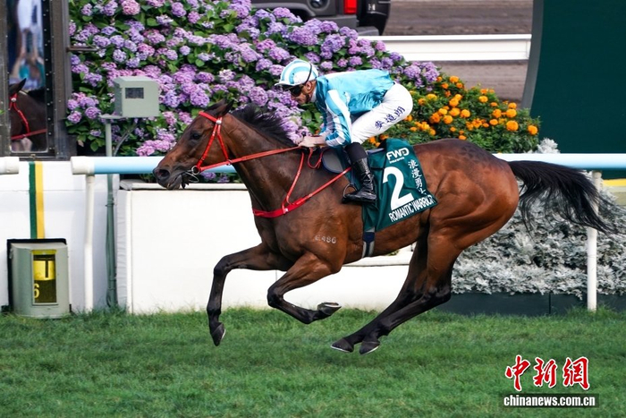 开云公司-香港赛驹“浪漫勇士”四夺“女皇杯”冠军|赛马|香港沙田马场|体育比赛|保险|比赛_新浪体育_新浪新闻